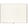 Еженедельник MOLESKINE PRO Vertical A4, чёрный DHB12PRO5